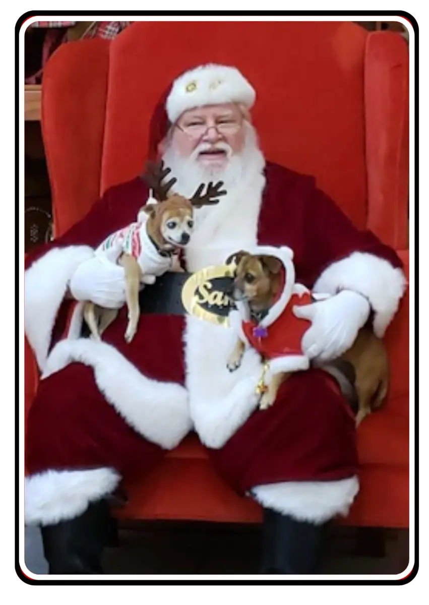 Melissa Rickard portraying Santa Claus