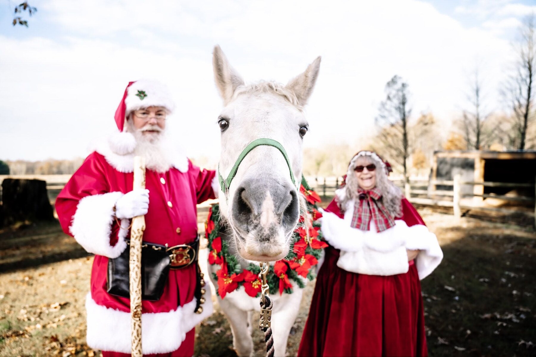 Santa and Mrs. Claus with a white horse at a Christmas appearance